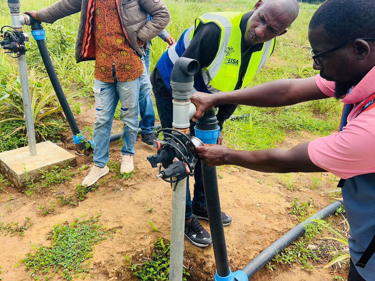 Vérification irrigation